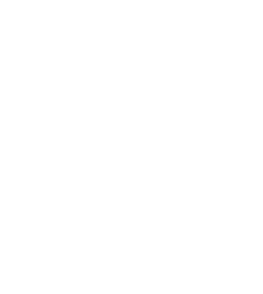 Pegasus Aero Group